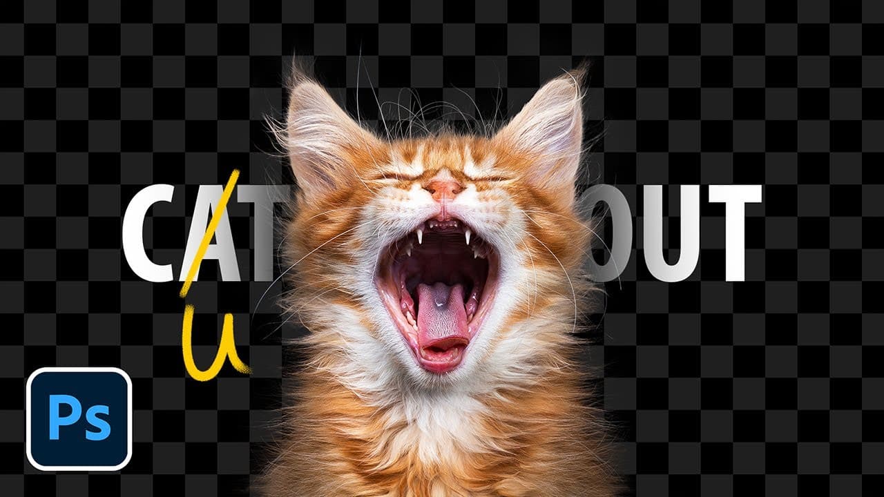 Como Selecionar Pelos no Photoshop: Guia Completo com Técnicas Avançadas