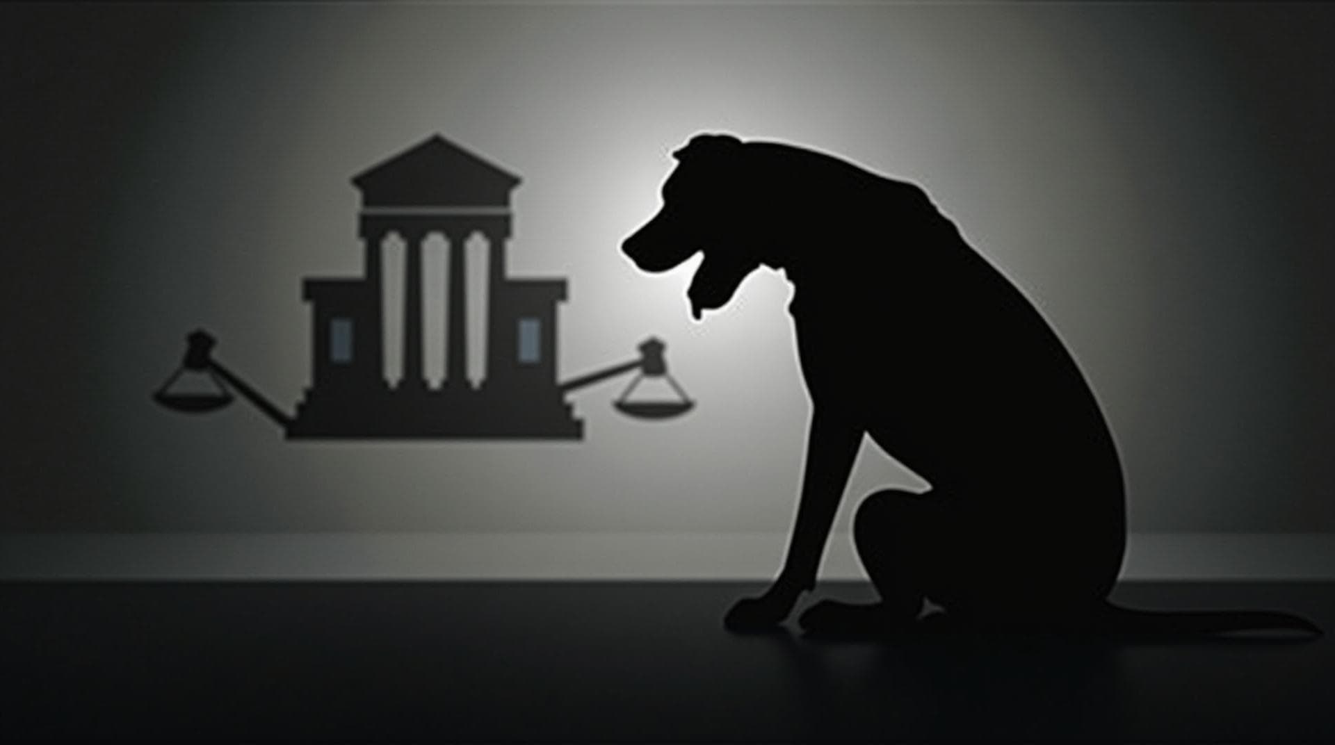 Zoofilia: Uma Análise Abrangente Sob a Perspectiva Legal e da Saúde