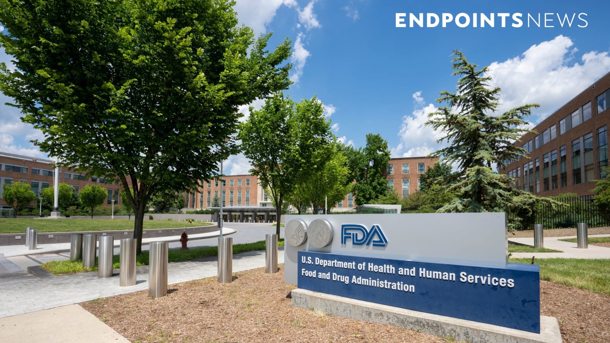 FDA em Foco: Novas Terapias Contra o Câncer em Análise Crítica este Mês