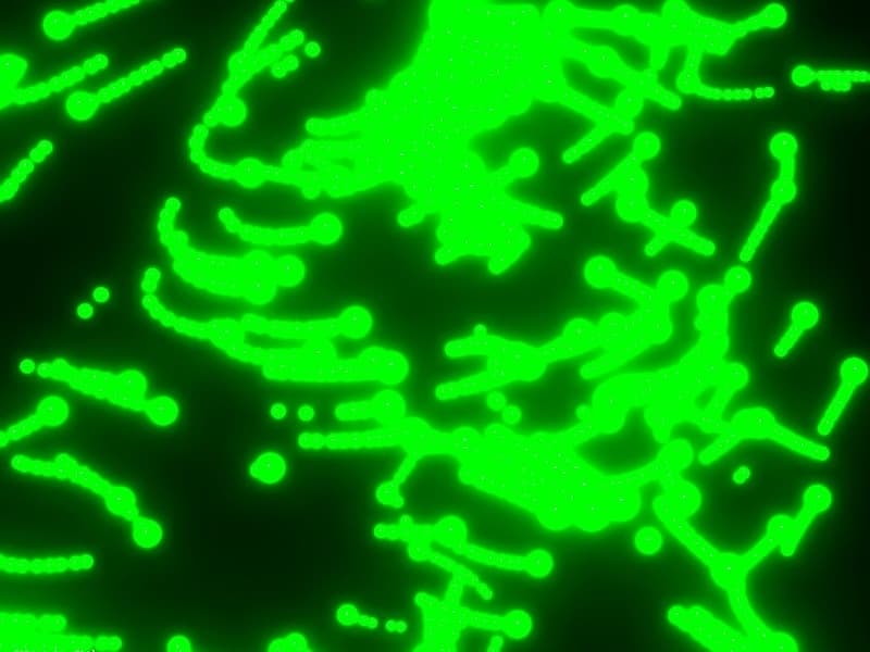 Codrops Ensina a Criar Trilhas de Partículas Dinâmicas com TSL no Estilo Matrix