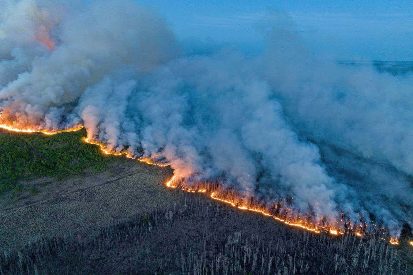 Incêndios Florestais Massivos no Canadá em 2023 e o Surpreendente Efeito de Resfriamento Global