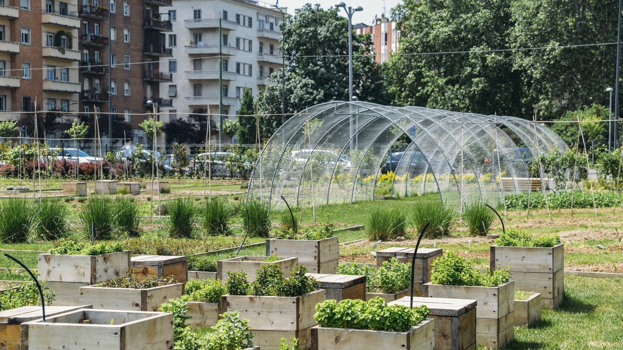 Fazendas Urbanas: Cultivando Resiliência em Tempos de Crise