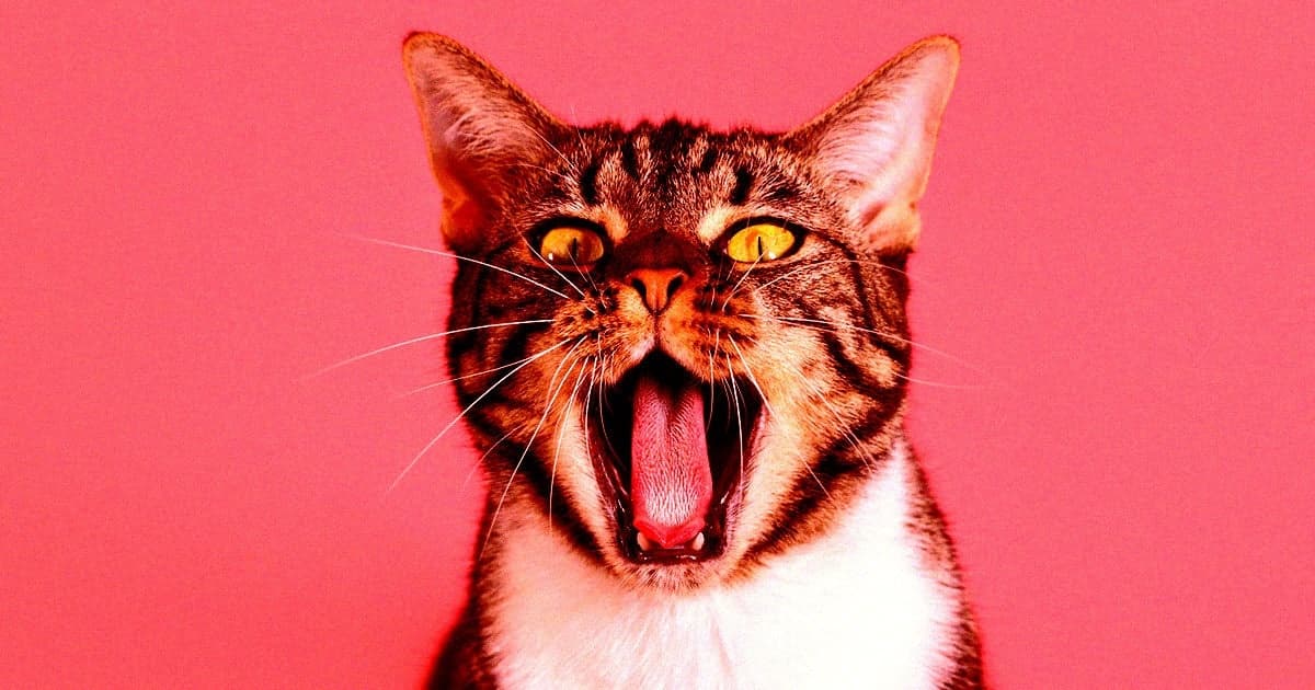 Baidu e a IA Tradutora de Animais: Realidade ou Ficção Científica?