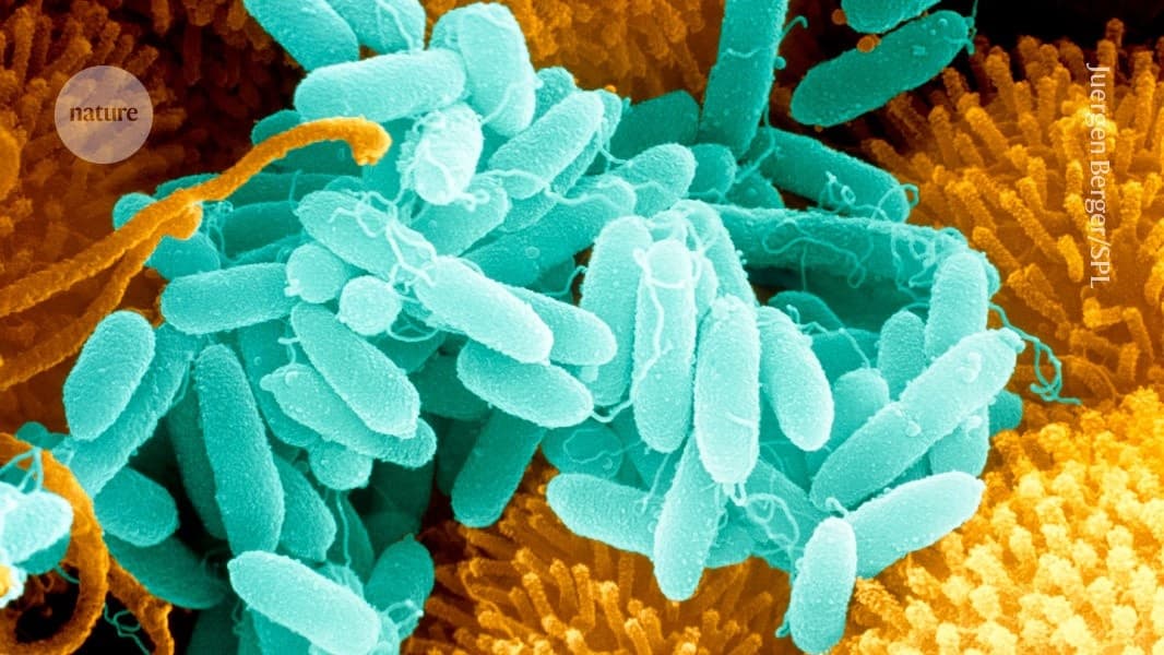 IA Desvenda o Balé Molecular: A Nova Era da Previsão de Estruturas de Complexos Proteicos
