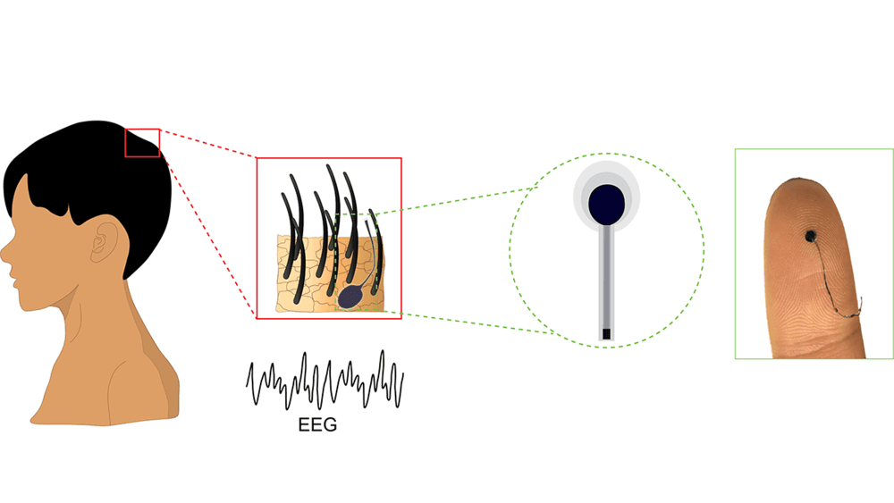 Revolução no Monitoramento Cerebral: Conheça a Fibra Fina Como um Fio de Cabelo da Penn State