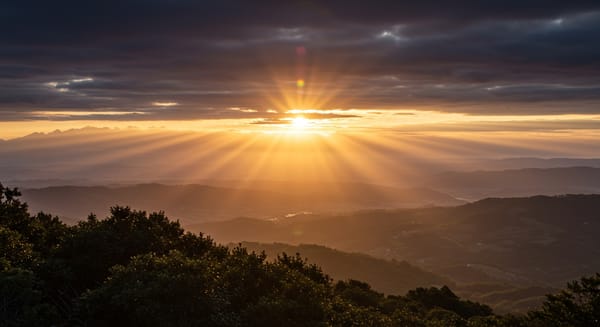 Bom Dia Gratidão a Deus por Tudo: Mensagens para Inspirar o Seu Amanhecer