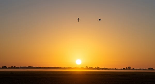 Bom Dia com Jesus para WhatsApp: Inspire e Seja Abençoado