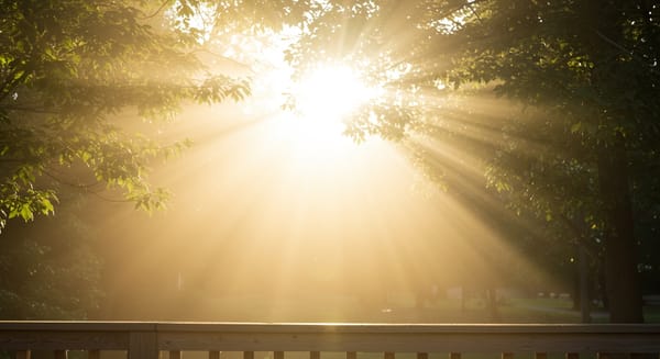 Bom Dia, Ótima Semana: Mensagens Inspiradoras para Começar Bem!