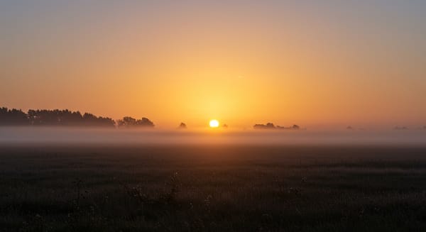 Bom Dia Para Vida: Mensagens que Tocam a Alma
