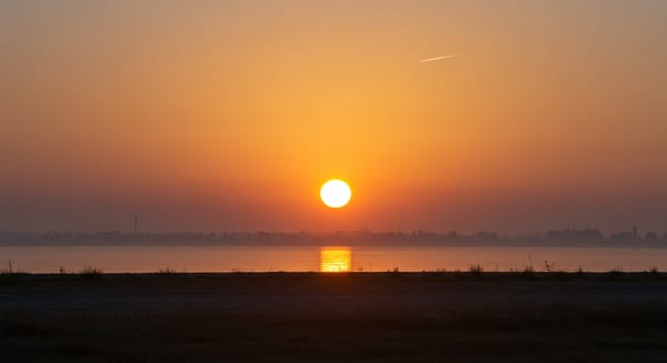 Bom Dia com Salmos: Inspire Sua Manhã com Fé e Reflexão