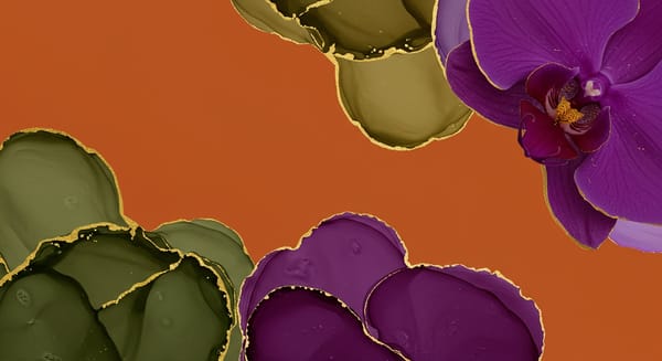 Cores com O: Um Guia Completo Pelas Tonalidades que Começam com a Letra O