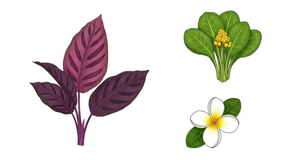Folha Cora: Desvendando a Beleza e os Usos de Plantas com Este Nome Singular
