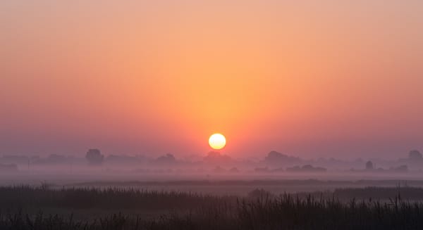Mensagens de Bom Dia Amor: Inspire e Conecte Corações