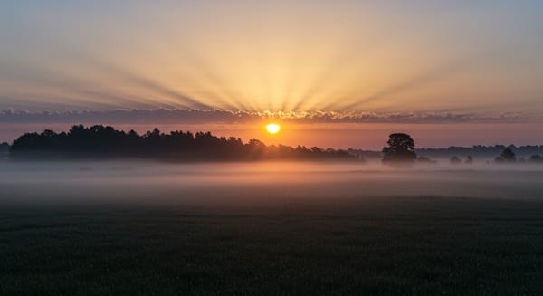 Bom Dia Feliz Domingo Abençoado por Deus: Mensagens que Tocam a Alma