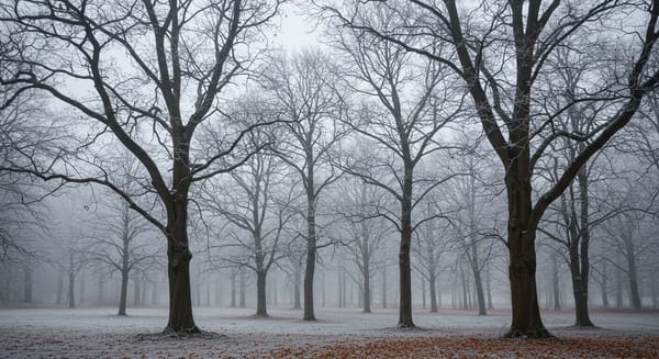Por Que as Árvores Perdem as Folhas no Inverno? Uma Estratégia de Sobrevivência.