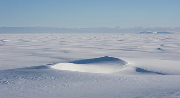 Qual o Maior Deserto do Mundo? E Suas Características Únicas.