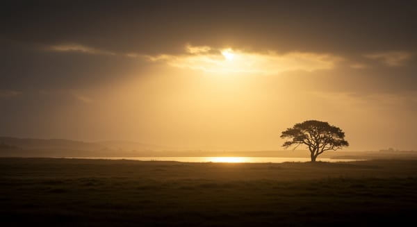 Versículo de Amor de Deus: Entendendo o Amor Incondicional