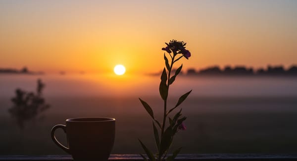 Whatsapp Bom Dia Quarta-feira: Mensagens Criativas para Iluminar o Meio da Semana