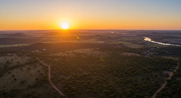 Bom Dia Paraná: Mensagens Inspiradoras para Começar o Dia com o Pé Direito