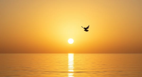 Bom Dia Paz e Luz: Comece o Dia com Leveza e Inspiração