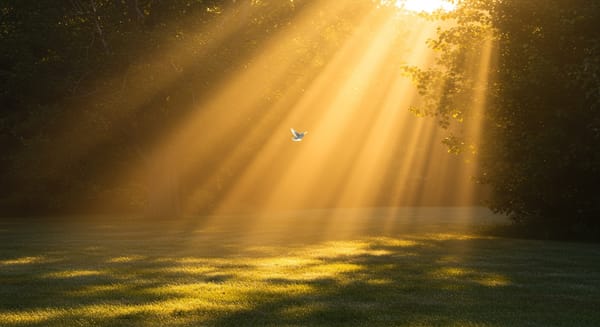 Bom Dia, Quinta-feira Abençoada por Deus: Mensagens para Inspirar seu Dia